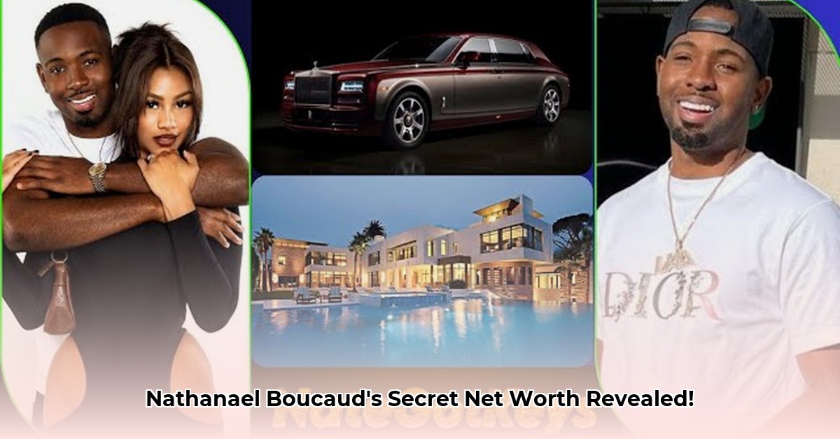 nathanael-boucaud-net-worth